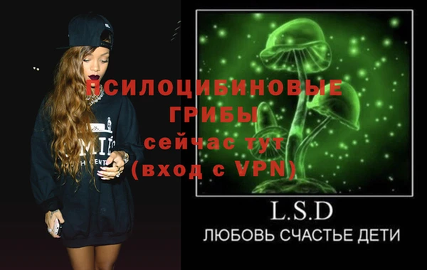 метадон Козловка