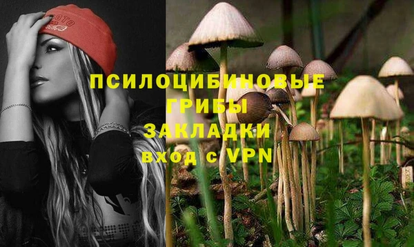 метадон Козловка